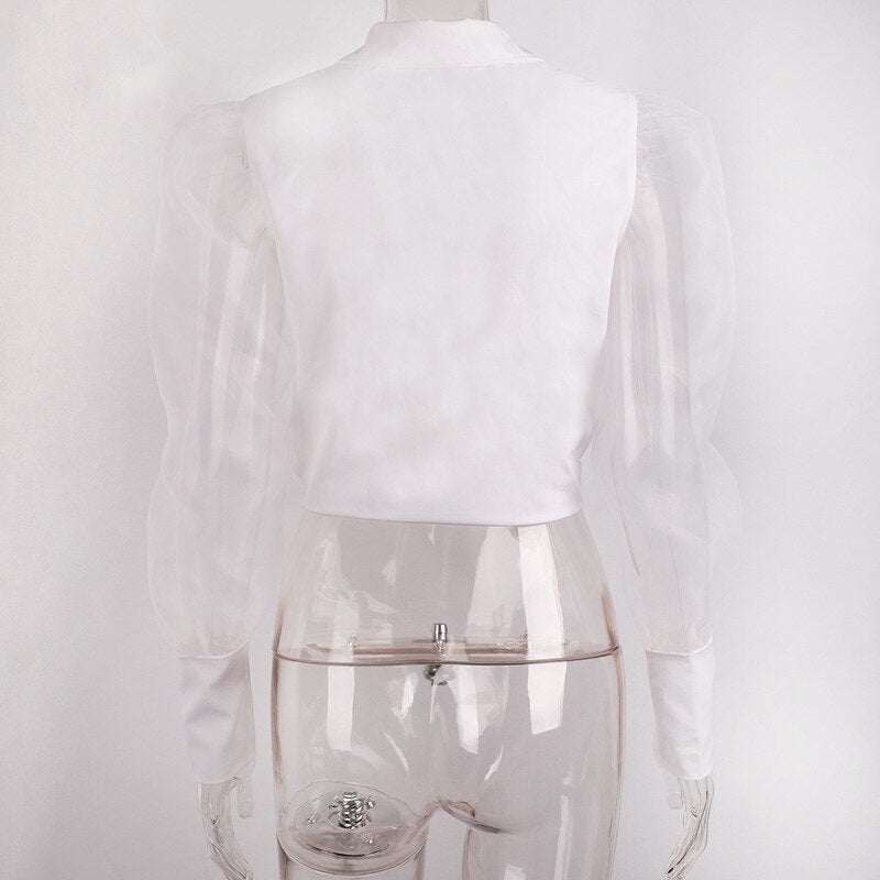 Women Elegant Puff Long Sleeve Blouse