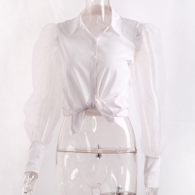 Women Elegant Puff Long Sleeve Blouse