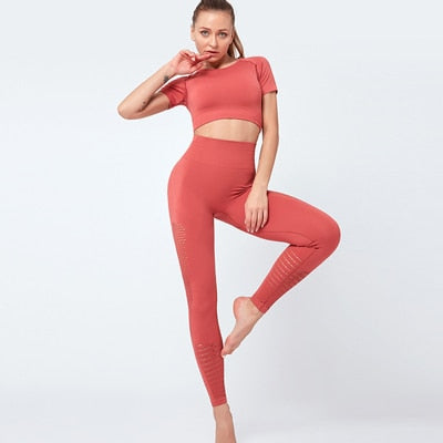 Women Seamless Fitness 2 Piece Yoga Workout Set For Women Sportwear