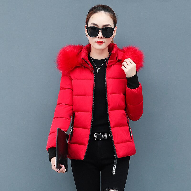 Women Thick New Winter Snow Wear Jacket