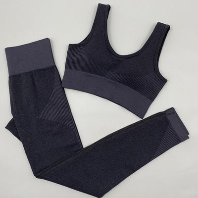 Women Seamless 2 Piece Sport Yoga Set