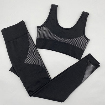 Women Seamless 2 Piece Sport Yoga Set