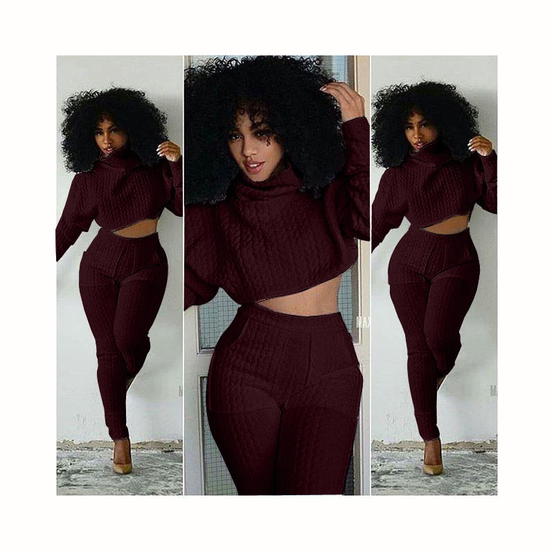 Women Set Knit Fitted Crop Tops Casual Suits 2-piece set.