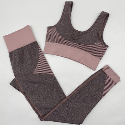 Women Seamless 2 Piece Sport Yoga Set