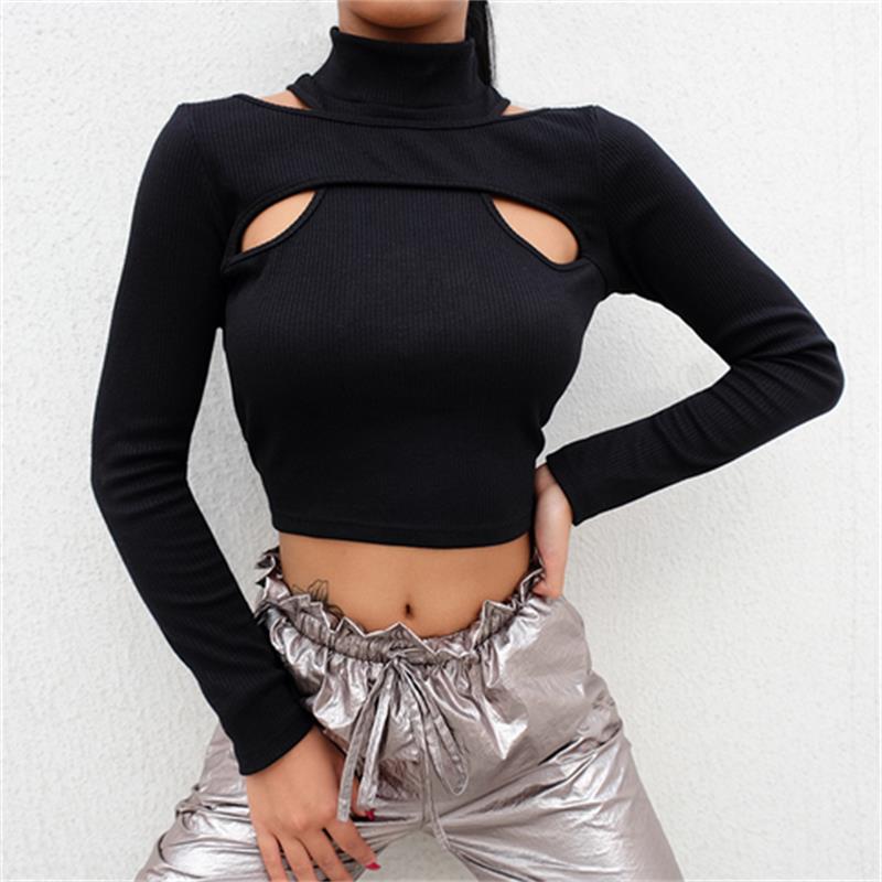 Women Slim Fit Long Sleeve Hollow Knitted T-shirts Solid Two Pieces Crop Tops